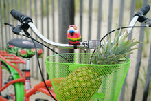 Load image into Gallery viewer, Margaritaville 24" Island Life Multi Speed Girl'S Bike, Coral/Green